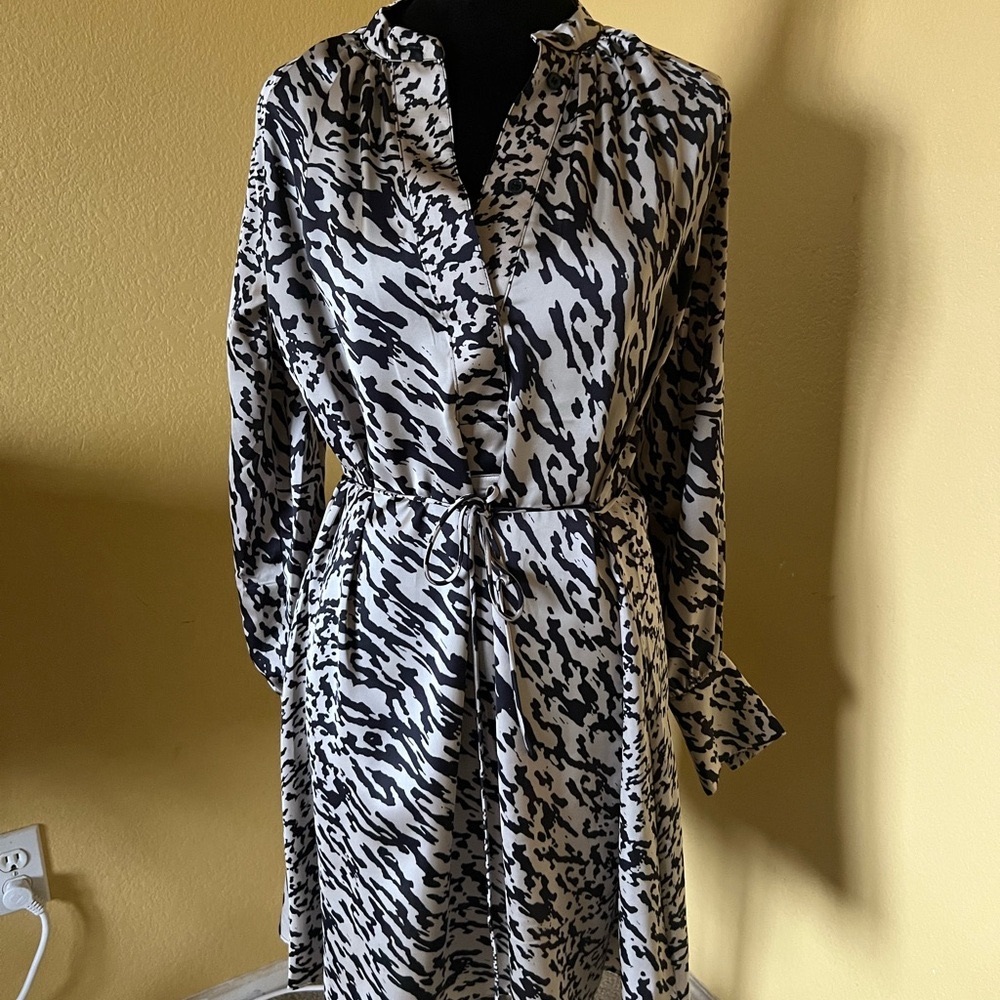 H&M Monochrome Long Sleeve Dress (it runs big)